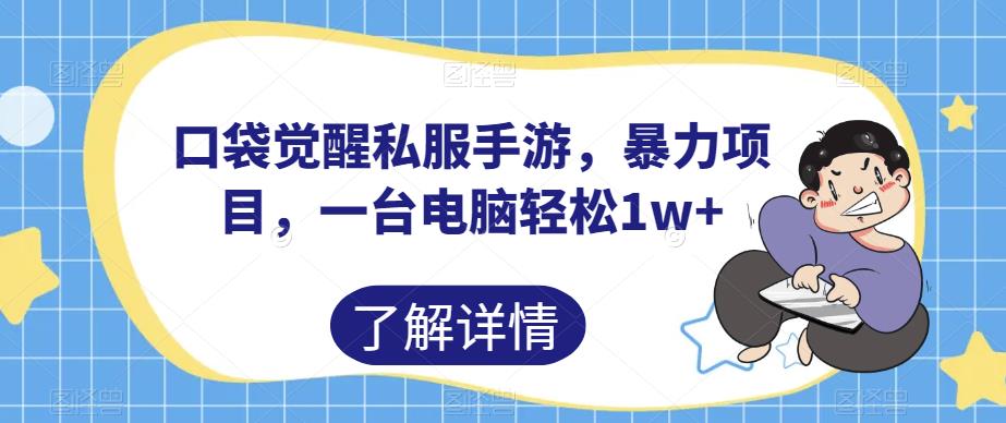 口袋觉醒私服手游，暴力项目，一台电脑轻松1w+【揭秘】-自媒体副业资源网