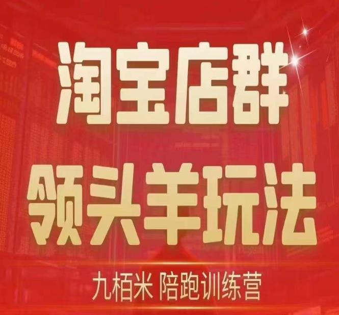 九栢米-淘宝店群领头羊玩法，教你整个淘宝店群领头羊玩法以及精细化/终极蓝海/尾销等内容-自媒体副业资源网