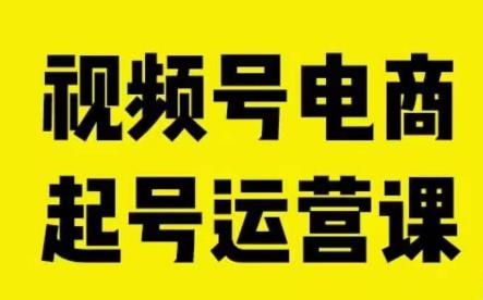 视频号电商起号运营课，教新人如何自然流起号，助力商家0-1突破-自媒体副业资源网