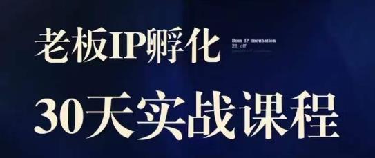 诸葛·2023老板IP实战课，实体同城引流获客，IP孵化必听-自媒体副业资源网