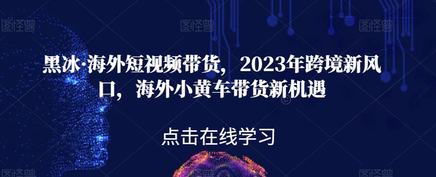 黑冰·海外短视频带货，2023年跨境新风口，海外小黄车带货新机遇-自媒体副业资源网