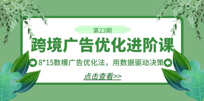 （7131期）跨境广告·优化进阶课·第23期，8*15数模广告优化法，用数据驱动决策-自媒体副业资源网