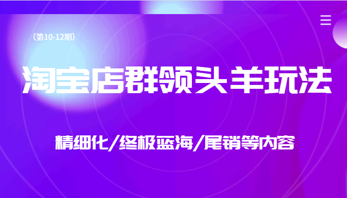 淘宝店群领头羊玩法，精细化/终极蓝海/尾销等内容（第10-12期）-自媒体副业资源网