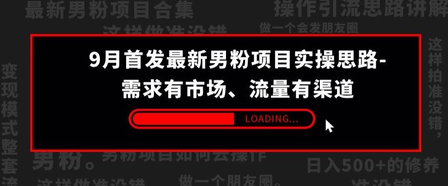 9月首发最新男粉项目实操思路-需求有市场，流量有渠道【揭秘】-自媒体副业资源网