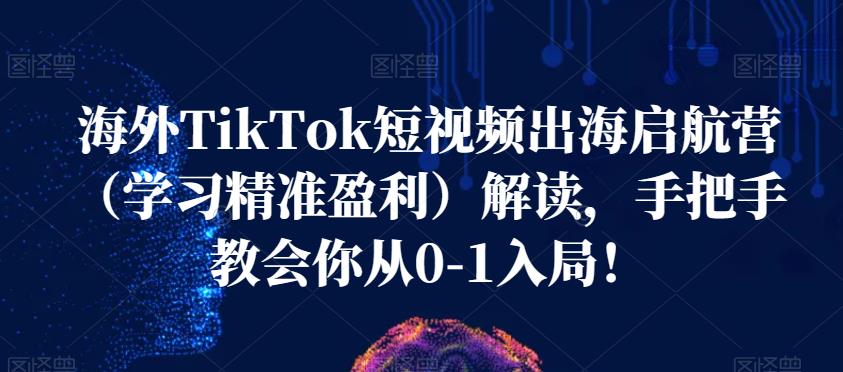 海外TikTok短视频出海启航营（学习精准盈利）解读，手把手教会你从0-1入局！-自媒体副业资源网