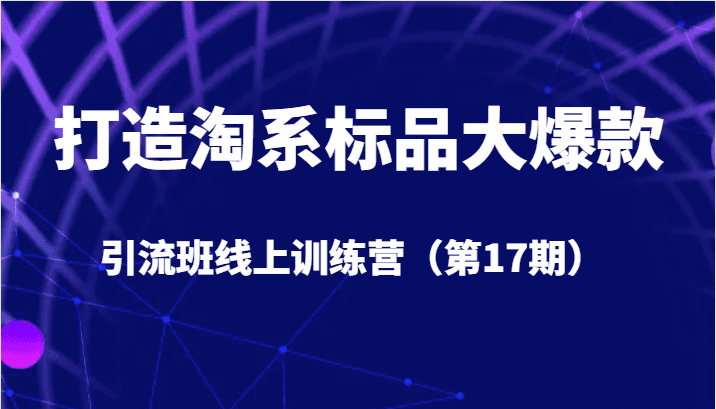 打造淘系标品大爆款引流班线上训练营（第17期）5天直播授课+1个月答疑-自媒体副业资源网