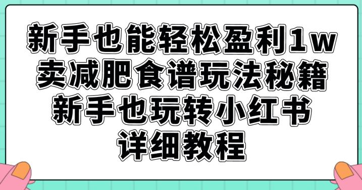 新手也能轻松盈利1w，卖减肥食谱玩法秘籍，新手也玩转小红书详细教程【揭秘】-自媒体副业资源网