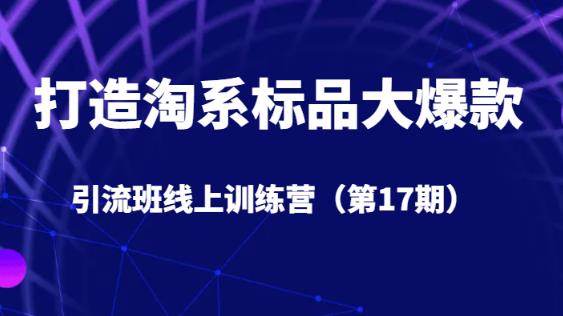 打造淘系标品大爆款引流班线上训练营（第17期）5天直播授课-自媒体副业资源网