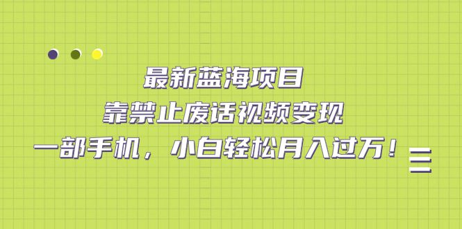 （7276期）最新蓝海项目，靠禁止废话视频变现，一部手机，小白轻松月入过万！-自媒体副业资源网