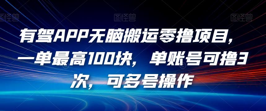 有驾APP无脑搬运零撸项目，一单最高100块，单账号可撸3次，可多号操作【揭秘】-自媒体副业资源网