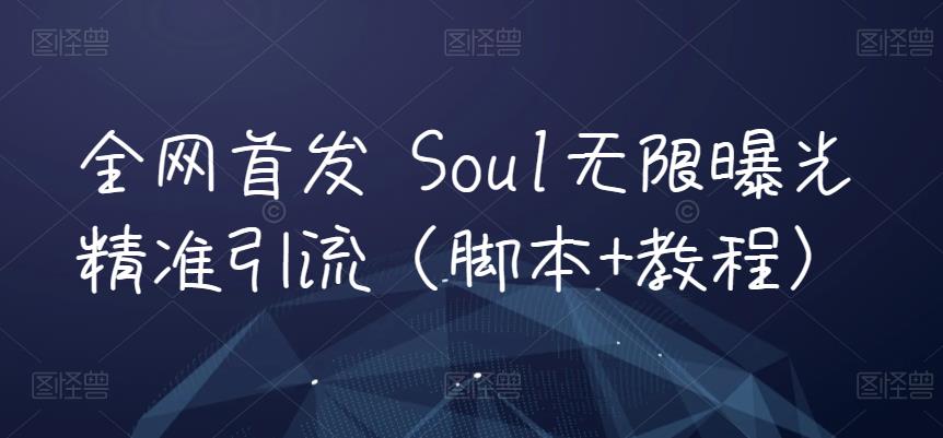 全网首发 Soul无限曝光精准引流（脚本+教程）-自媒体副业资源网