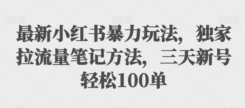 最新小红书暴力玩法，独家拉流量笔记方法，三天新号轻松100单【揭秘】-自媒体副业资源网