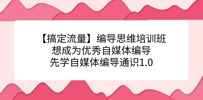 （7281期）【搞定流量】编导思维培训班，想成为优秀自媒体编导先学自媒体编导通识1.0-自媒体副业资源网