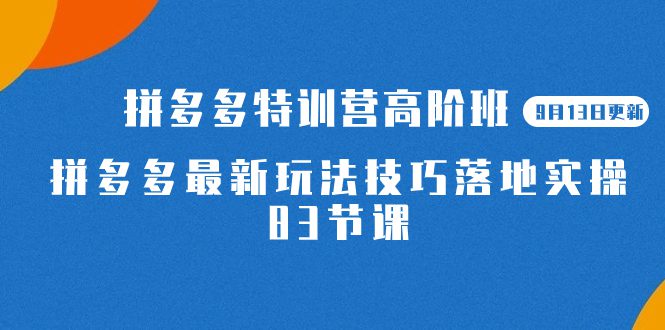 （7295期）2023拼多多·特训营高阶班【9月13日更新】拼多多最新玩法技巧落地实操-83节-自媒体副业资源网