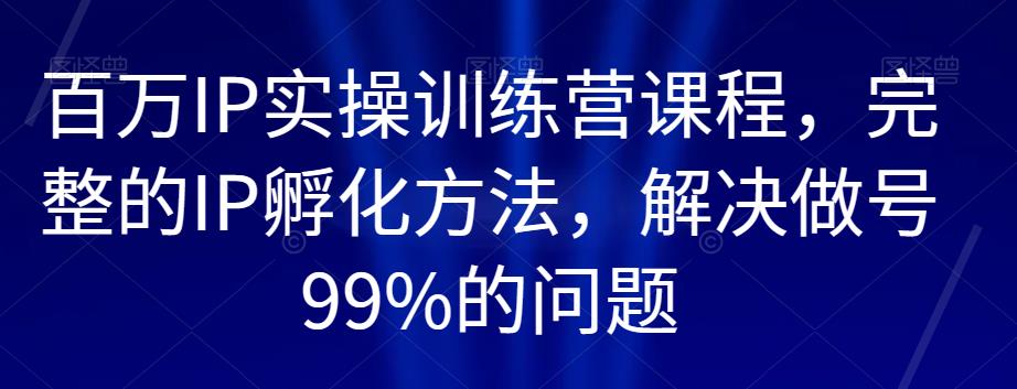 百万IP实操训练营课程，完整的IP孵化方法，解决做号99%的问题-自媒体副业资源网