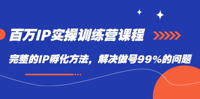 （7354期）百万IP实战训练营课程，完整的IP孵化方法，解决做号99%的问题-自媒体副业资源网