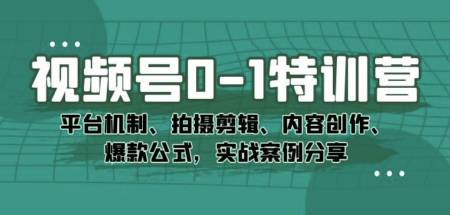 视频号0-1特训营：平台机制、拍摄剪辑、内容创作、爆款公式，实战案例分享-自媒体副业资源网