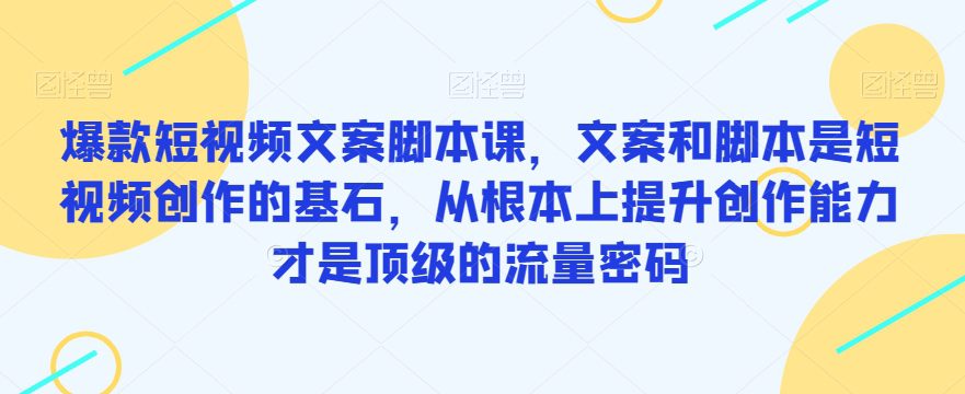 爆款短视频文案脚本课，文案和脚本是短视频创作的基石，从根本上提升创作能力才是顶级的流量密码-自媒体副业资源网