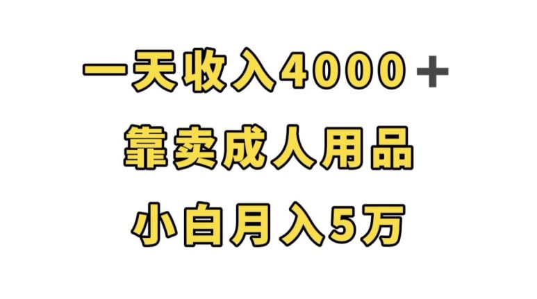 一天收入4000+，靠卖成人用品，小白轻松月入5万【揭秘】-自媒体副业资源网