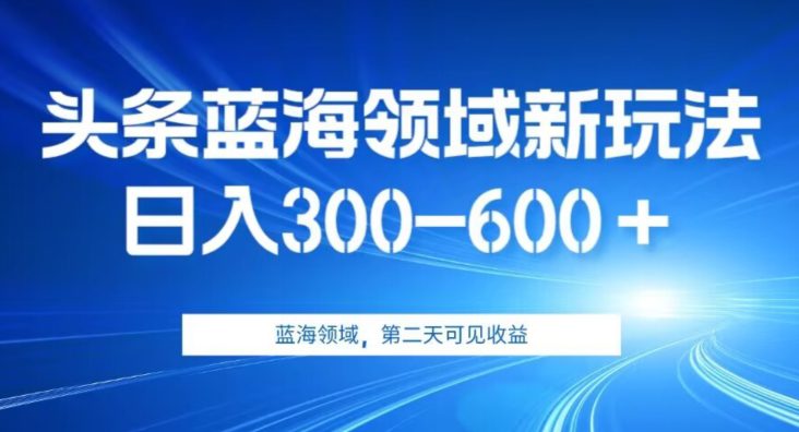 AI头条野路子蓝海领域新玩法2.0，日入300-600＋，附保姆级教程【揭秘】-自媒体副业资源网