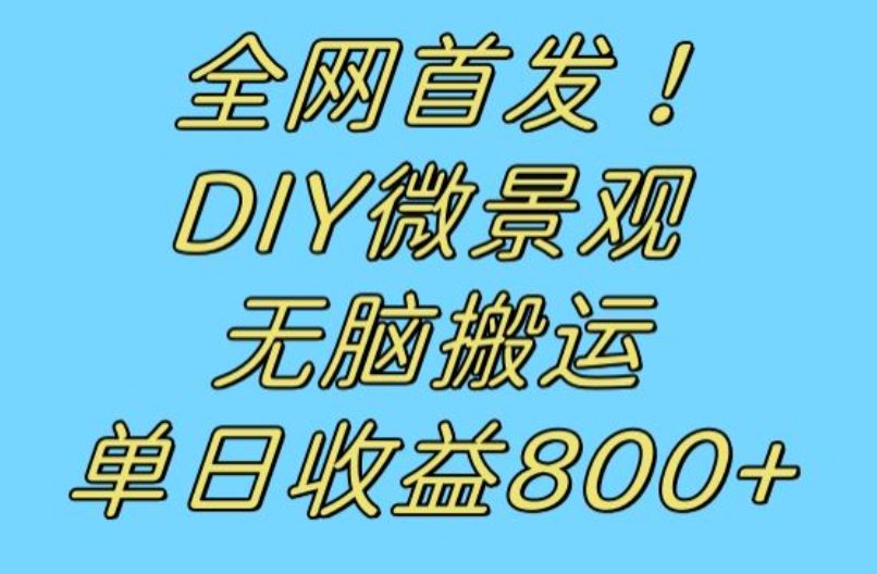 全网首发冷门赛道！DIY微景观，无脑搬运视频，日收益800+【揭秘】-自媒体副业资源网