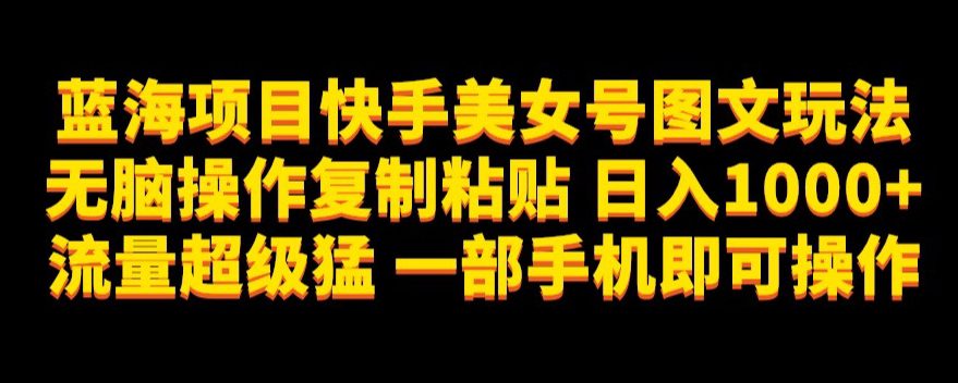 蓝海项目快手美女号图文玩法，无脑操作复制粘贴，日入1000+流量超级猛一部手机即可操作【揭秘】-自媒体副业资源网