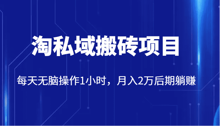 价值2980的淘私域搬砖项目，每天无脑操作1小时，月入2万后期躺赚-自媒体副业资源网