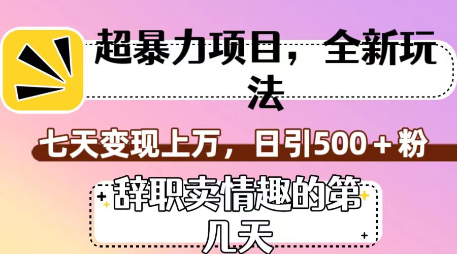 超暴利项目，全新玩法（辞职卖情趣的第几天），七天变现上万，日引500+粉-自媒体副业资源网