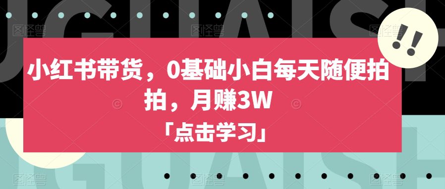 小红书带货，0基础小白每天随便拍拍，月赚3W【揭秘】-自媒体副业资源网