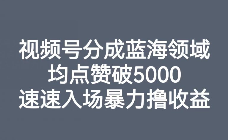 视频号分成蓝海领域，均点赞破5000，速速入场暴力撸收益-自媒体副业资源网