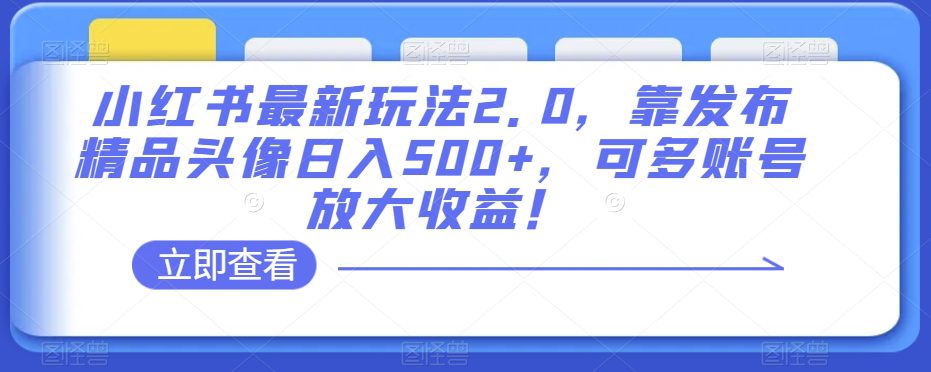 小红书最新玩法2.0，靠发布精品头像日入500+，可多账号放大收益！【揭秘】-自媒体副业资源网