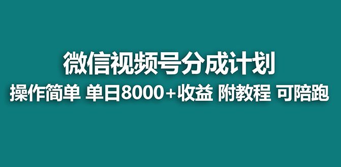 （7904期）【蓝海项目】视频号分成计划，单天收益8000+，附玩法教程！可陪跑-自媒体副业资源网