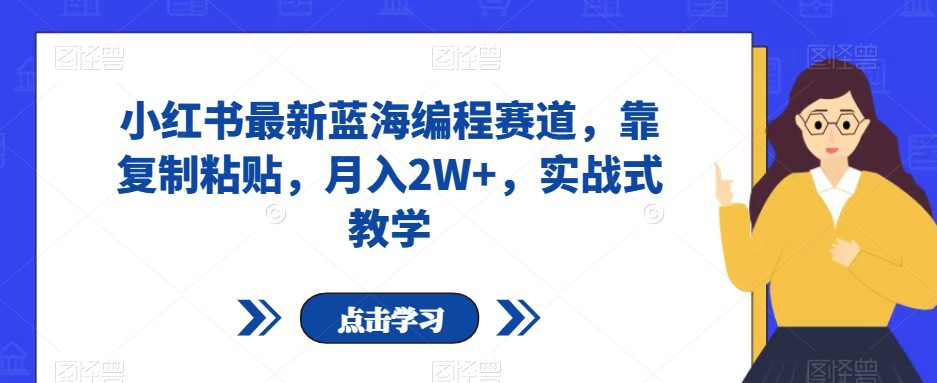 小红书最新蓝海编程赛道，靠复制粘贴，月入2W+，实战式教学【揭秘】-自媒体副业资源网