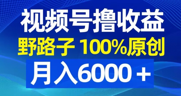 视频号野路子撸收益，100%原创，条条爆款，月入6000＋-自媒体副业资源网