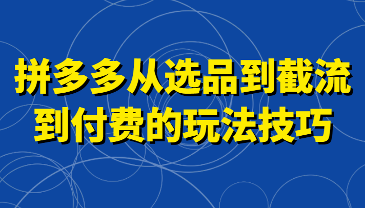 拼多多从选品到截流到付费的玩法技巧，助你掌握截流自然流量，高投产，强付费快速启动-自媒体副业资源网