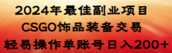 （8941期）2024年最佳副业项目 CSGO饰品装备交易 轻易操作单账号日入200+-自媒体副业资源网