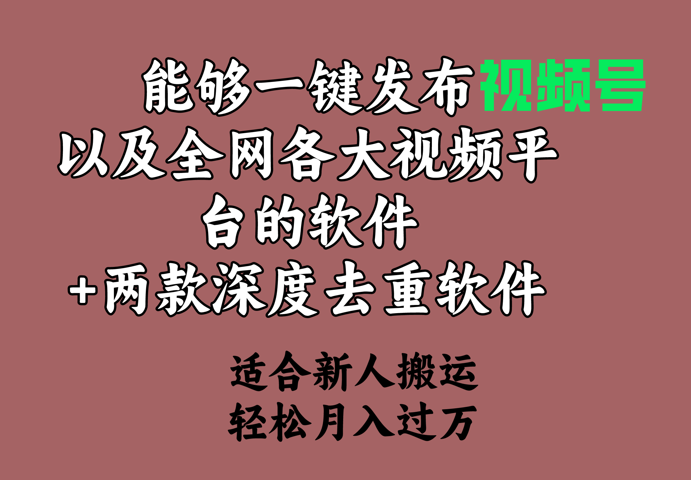 （9319期）能够一键发布视频号以及全网各大视频平台的软件+两款深度去重软件 适合…-自媒体副业资源网