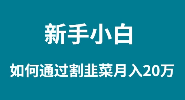 （9308期）新手小白如何通过割韭菜月入 20W-自媒体副业资源网