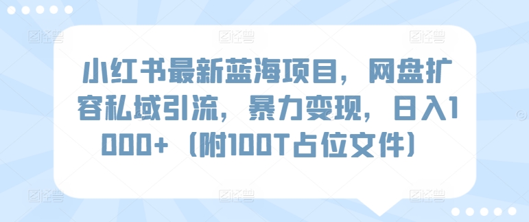 小红书最新蓝海项目，网盘扩容私域引流，暴力变现，日入1000+（附100T占位文件）-自媒体副业资源网