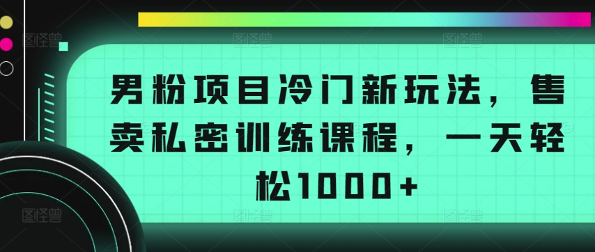 男粉项目冷门新玩法，售卖私密训练课程，一天轻松1000+-自媒体副业资源网