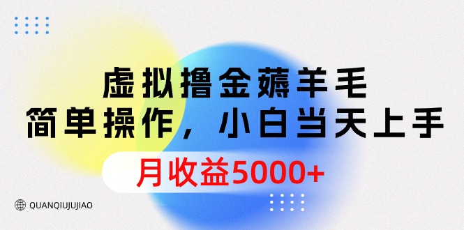 （9864期）虚拟撸金薅羊毛，简单操作，小白当天上手，月收益5000+-自媒体副业资源网