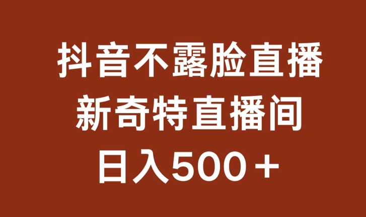 不露脸挂机直播，新奇特直播间，日入500+-自媒体副业资源网