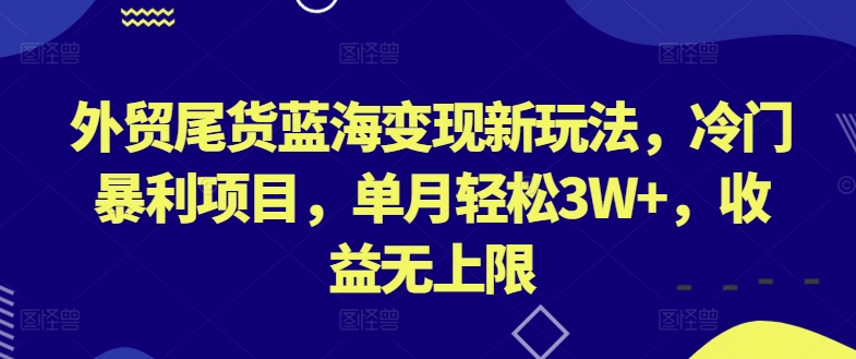 外贸尾货蓝海变现新玩法，冷门暴利项目，单月轻松3W+，收益无上限-自媒体副业资源网