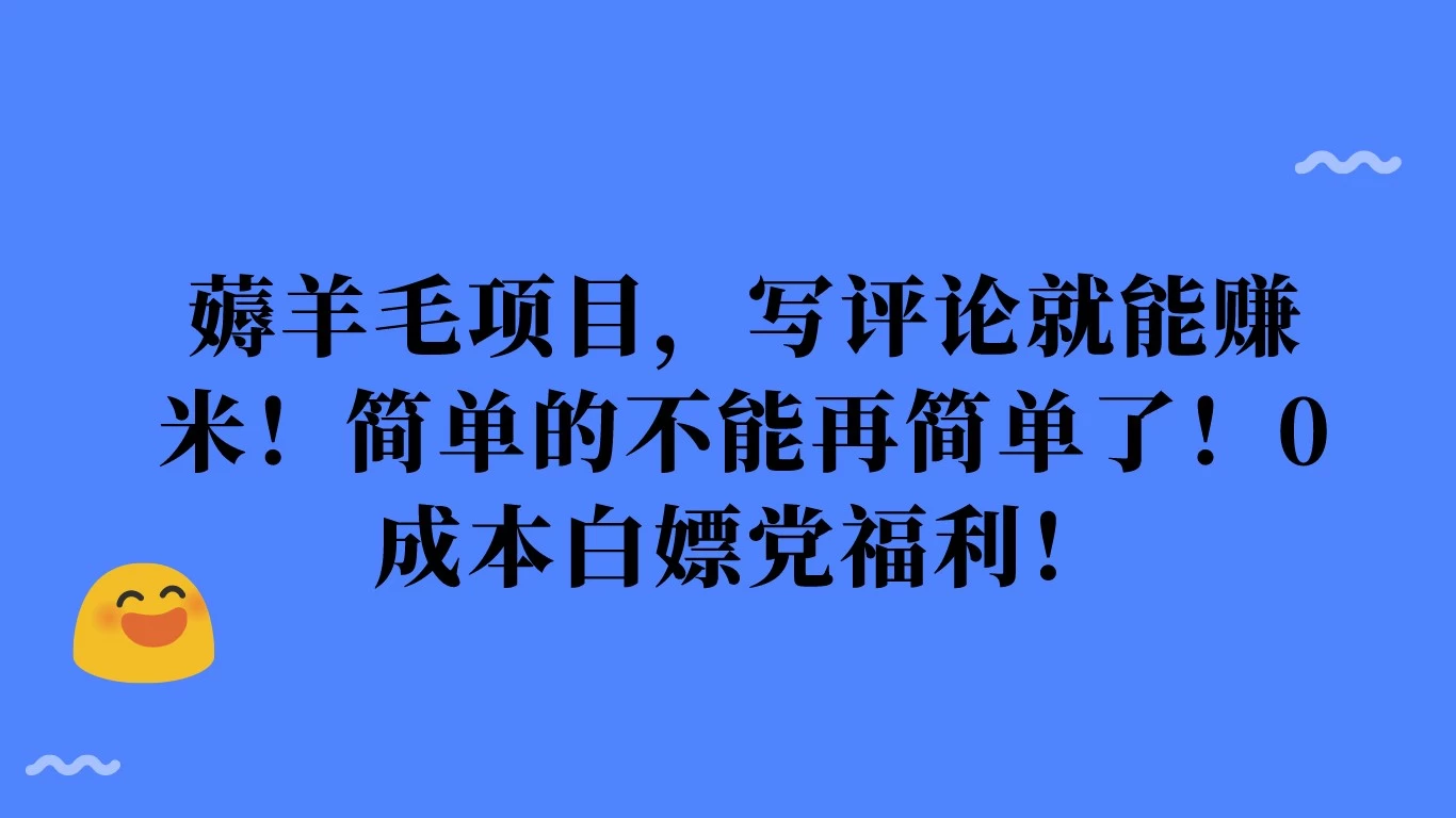 薅羊毛项目，写评论就能赚米！简单的不能再简单了！0成本白嫖党福利！-自媒体副业资源网