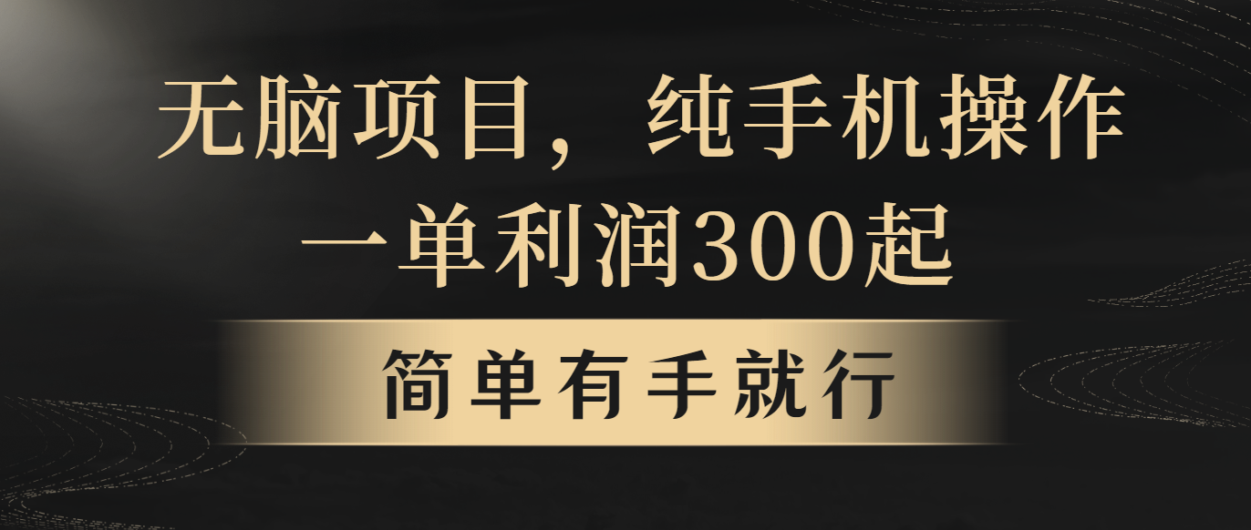 （10589期）无脑项目，一单几百块，轻松月入5w+，看完就能直接操作-自媒体副业资源网