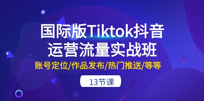 （10712期）国际版Tiktok抖音运营流量实战班：账号定位/作品发布/热门推送/等等-13节-自媒体副业资源网