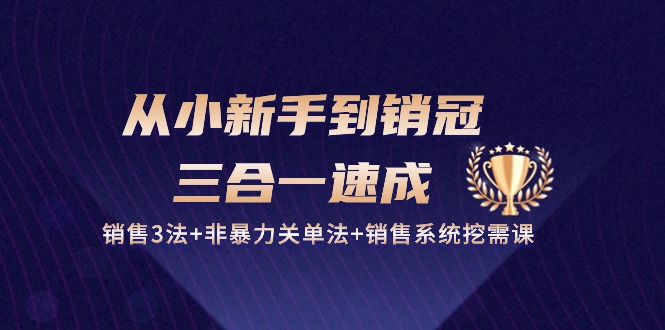 从小新手到销冠三合一速成：销售3法+非暴力关单法+销售系统挖需课 (27节)-自媒体副业资源网