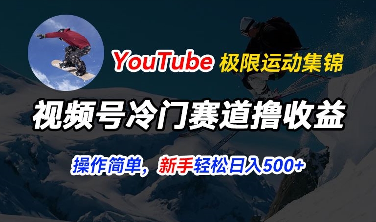 视频号冷门赛道撸收益，YouTube搬运极限运动集锦，暴力起号，操作简单流量高，轻松日入5张-自媒体副业资源网