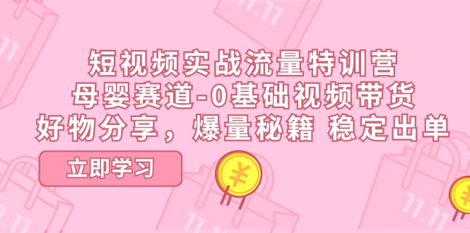 （11373期）短视频实战流量特训营，母婴赛道-0基础带货，好物分享，爆量秘籍 稳定出单-自媒体副业资源网