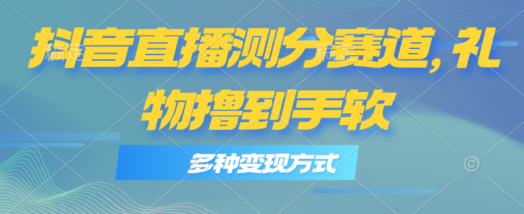 （11380期）抖音直播测分赛道，多种变现方式，轻松日入1000+-自媒体副业资源网